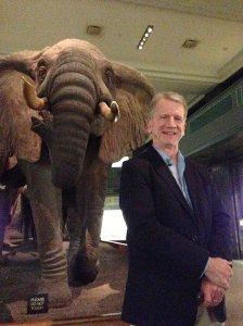 Steve Quinn, diorama curator