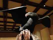 Spectacular iron eagle lent by Arms & Armor Department