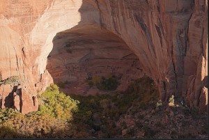 Cliff dwellings in Betatakin alcove, a NPS site at Navajo National Monument where pueblo elders continue to hold sacred ceremonies. Photo: Dan Boone/Ryan Belnap, Bilby Research Center, Northern Arizona University
