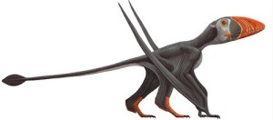 AMNH illustration of Mary Anning’s Dimorphodon. Courtesy: AMNH.