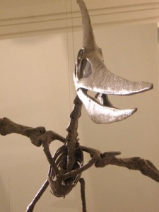 Happy Ptreranodon in the Vertebrate Origins hall before the crew made him a star of the show inside the Lefrak Gallery.