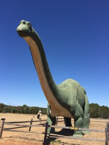 Sinclair relaxes in a Texas corral