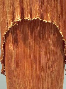 Close-up: Fortuny’s hand-pleated, hand-sewn 1920s charmeuse dress; Venetian-beads embroidery and hand-knotted silk trim