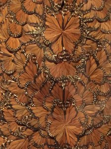 Sarah Burton’s 2011 McQueen dress uses feathers cut, dyed, and painted to resemble butterfly wings