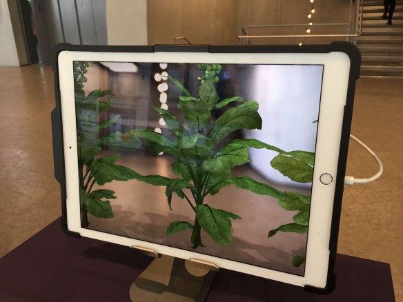 1-1 Wolf Nation at The Whitney